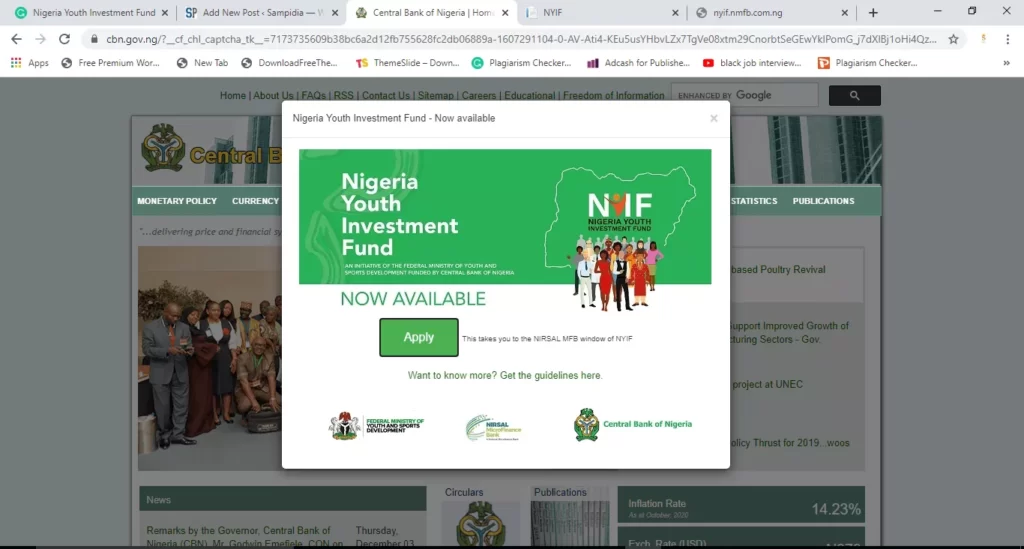 Nigeria Youth Investment Fund