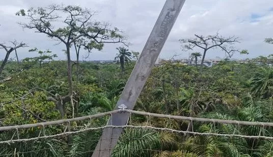 Lekki Conservation Centre at Lagos